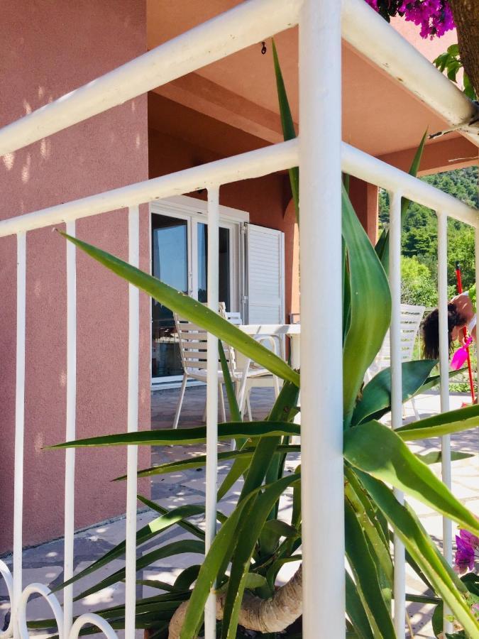 Apartments Jurakovic Živogošće Exteriér fotografie