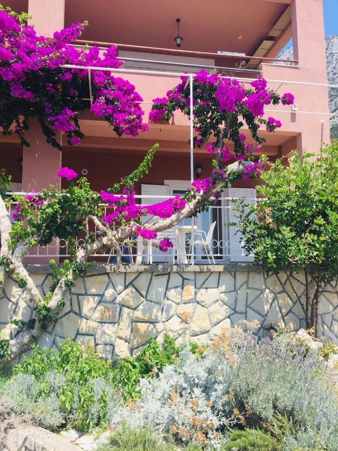 Apartments Jurakovic Živogošće Exteriér fotografie